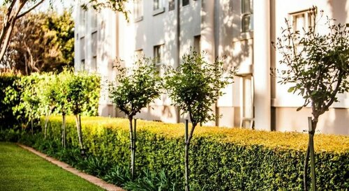 Garden Court Morningside Sandton, Забронировать Отель Отели Йоханнесбург 3 звезды, рядом с Benmore Centre, 3*