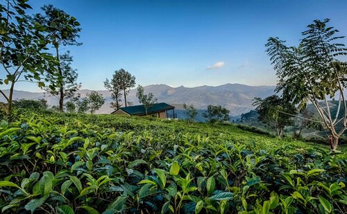 Madulkelle Tea and Eco Lodge, Забронировать Курортный отель Бизнес-отели Канди, 4* 5*