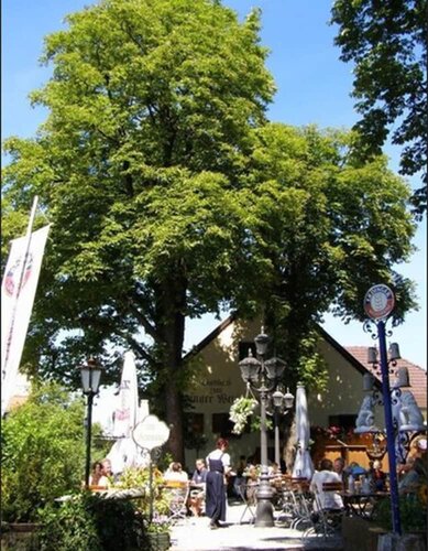 Hotel & Gaststätte zum Erdinger Weißbräu, Reserva ahora Hotel Hadern Múnich