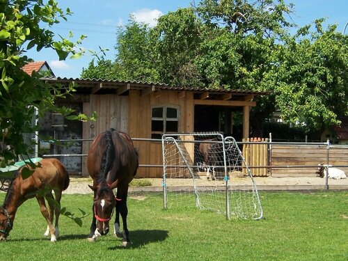 Landhotel Zum Adler, Book Hotel SPA-hoteller i Bayern, SPA