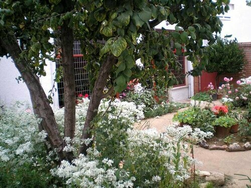 Tierra De Campos, Book Hotel  