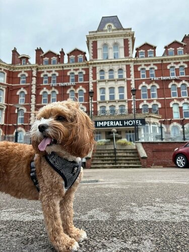 Imperial Hotel Blackpool, Забронировать Отель Отели Блэкпул с бассейном, рядом с Площадь Gynn, Бассейн