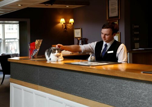 Best Western Plus Swan Hotel, Book Hotel Hoteller i Somerset med parkering, Parkering