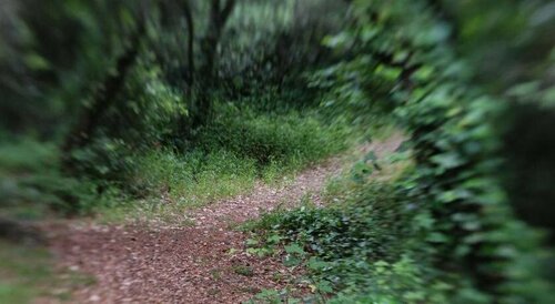 El Porxo de Can Baixeres PB-00318, Забронировать Отель Монсень Montseny Natural Park