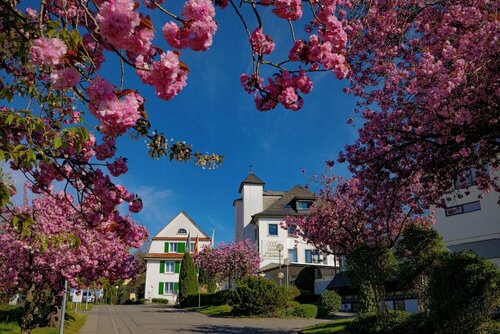 Parkhotel St.Leonhard, Réserver Hôtel Hôtels à Bade-Wurtemberg avec piscine, Piscine