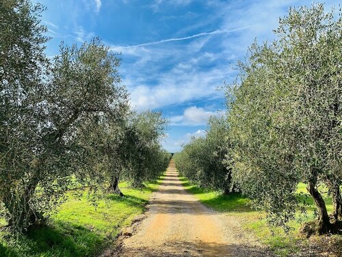 Tenuta Agricola Fraschiera, Забронировать Фермерский дом Отели Масса-Марритима с парковкой, Парковка