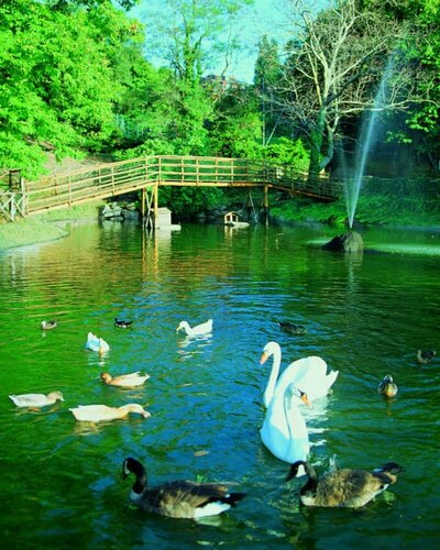 Balletti Park Hotel, Book Hotel San Martino al Cimino Lake Vico
