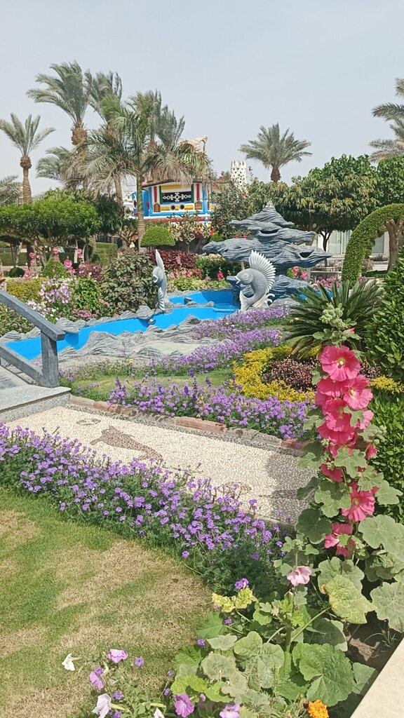 Seagull Beach Resort
