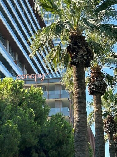 Canopy By Hilton Izmir Bomonti, Забронировать Отель Новые отели Измира, новые