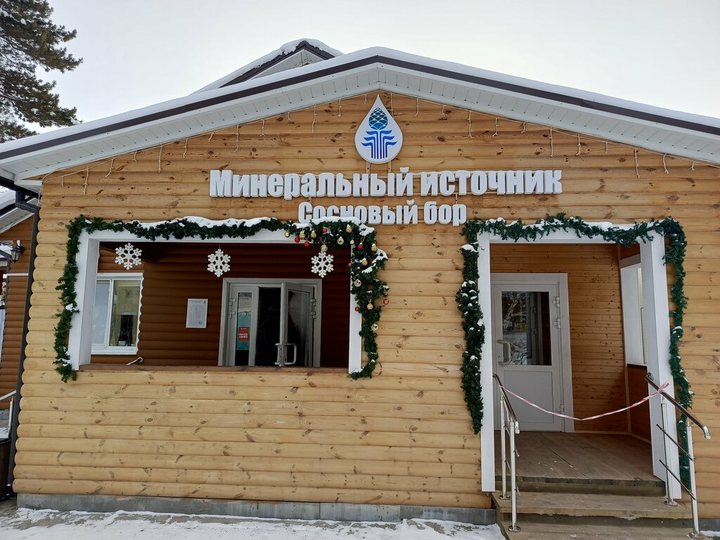 Сосновый бор