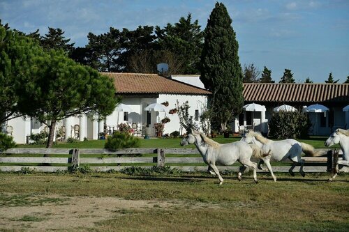 Hôtel Mas de la Grenouillère, Rezervovat Hotel Saintes-Maries-de-la-Mer Camargue