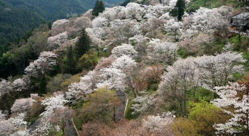 Ryokan Kato - Yoshino, Забронировать Отель Отели Нары с завтраком, Завтраки