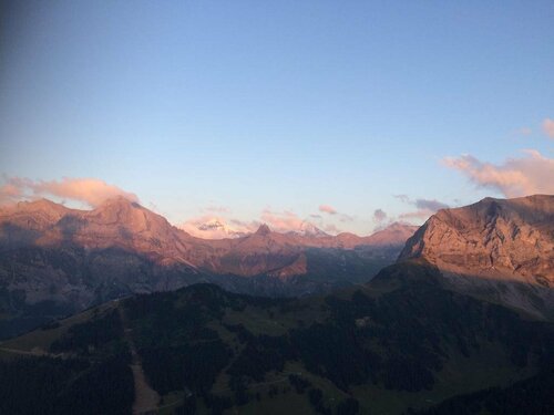 Bergdohle, Prenota Hotel Adelboden 