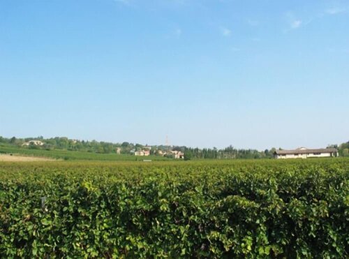 Caspineda Agriturismo, Prenota Agriturismo Montebelluna Veneto