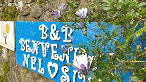 Benvenuti Nel Sud, Prenota Bed & breakfast Sessa Cilento Cilento