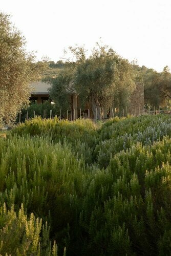 IUTA Farm, Prenota Campeggio Campeggi e glamping a Sicilia, Campeggio