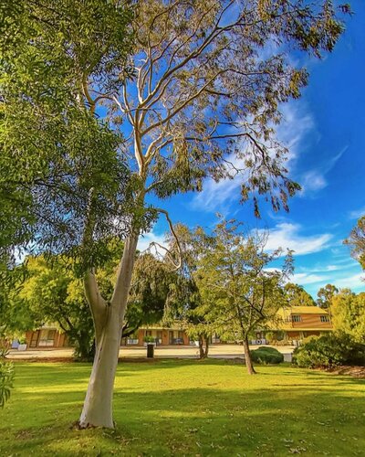 Mountain View Motor Inn & Holiday Lodges, Réserver Auberge Halls Gap Grampians