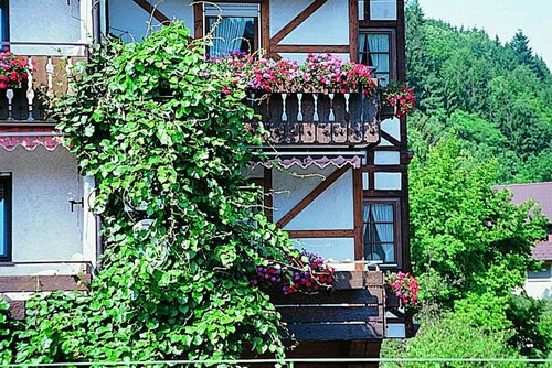 Hotel Hirsch, Reserva ahora Hotel Hoteles en Baden-Wurtemberg con aparcamiento, Aparcamiento