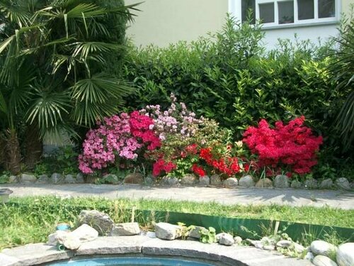 Hotel Luna Garni, Забронировать Отель Отели Locarno Ascona Losone с завтраком, Завтраки