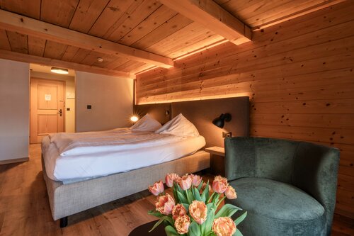 Hotel Châlet Du Lac, Prenota Chalet Ville a Canton Berna, Villa