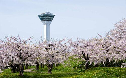 Hotel Suncity Hakodate, Забронировать Отель Отели в центре Хакодате, в центре, Завтраки, Парковка