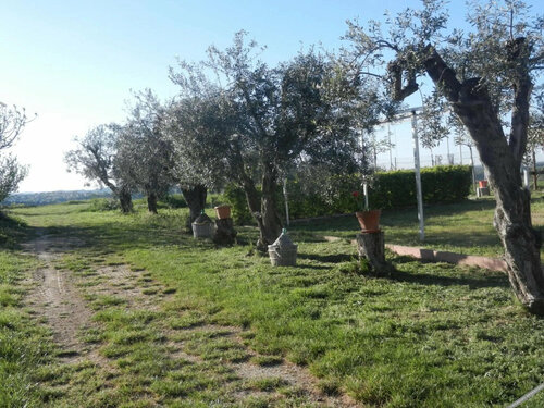 B&B Primavera, Book Bed and Breakfast Hoteller i Abruzzo med parkering, Parkering