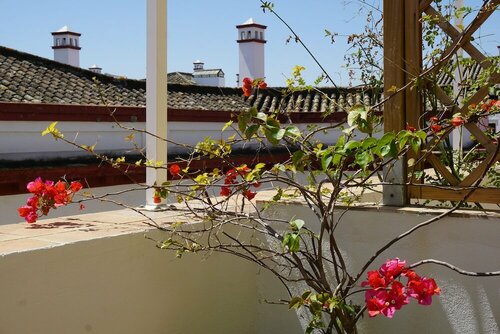 Black Swan Hostel Sevilla, Забронировать Хостел Хостелы Севильи, Хостел