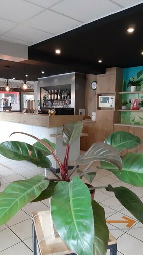 ibis Carcassonne Centre, Book Hotel Hoteller i Carcassonne med parkering, Parkering