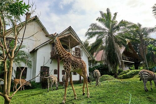Arusha Safari Lodge, Boek Vakantiehuis Arusha hotels met ontbijt, Ontbijt