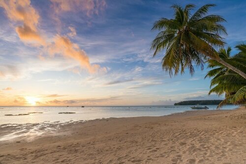 Moorea Beach Lodge, Prenota Hotel Paeau Moorea