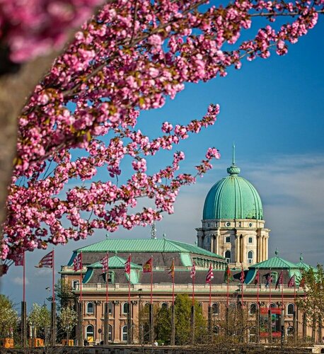 Carlton Hotel Buda Castle, Забронировать Отель Бизнес-отели Будапешта, рядом с Площадь Тринити-сквер, 4* 5*