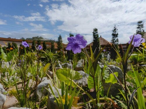Monkeys Canopy Resort, Забронировать Курортный отель Отели Каджанг 4 звезды, 4*