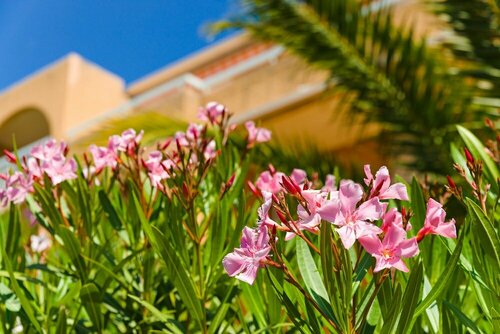 Lagrange Vacances Villa Barbara, Забронировать Вилла Отели Сен-Тропе залива с парковкой, Парковка