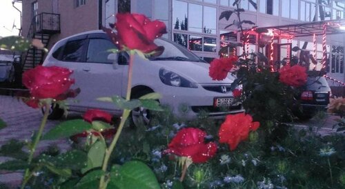 Altamira Guesthouse, Boek Pension SPA-hotels in Issyk-Kul Region, SPA