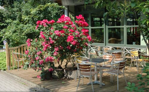 Grandhotel Esplanade, Забронировать Отель Отели Бад-Нендорф 3 звезды, 3*