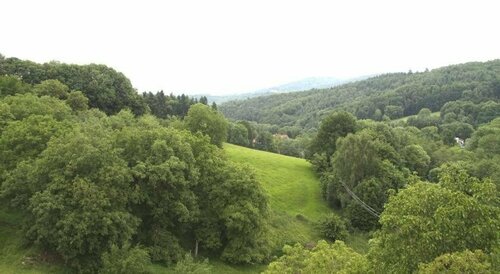 Gasthof zum grünen Baum, Забронировать Отель Бойтценбург 