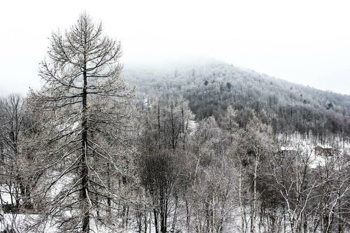 B&B Pian Savin, Boek Bed and Breakfast Giaveno Piemonte