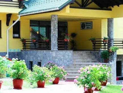 Hotel Casa Viorel