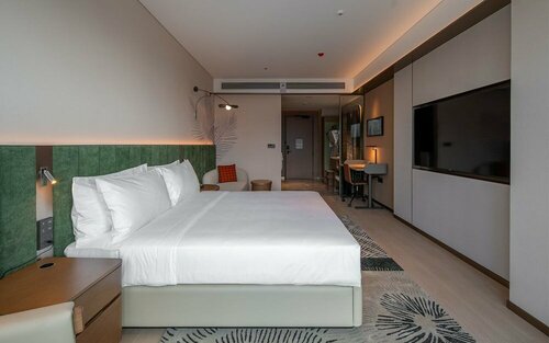 Hilton Garden Inn Wuhu Economic Tech Zone, Rezervasyon Otel Wuhu Anhui