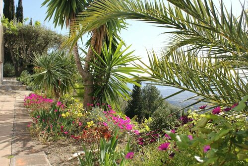 El Nispero Dulce, Réserver Chambre d'hôtes Alcaucín Axarquía