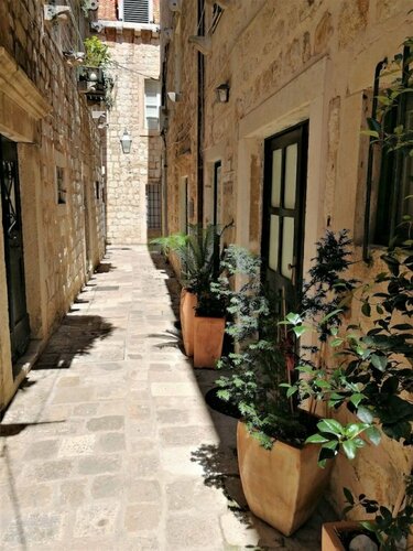 Angelus Rooms