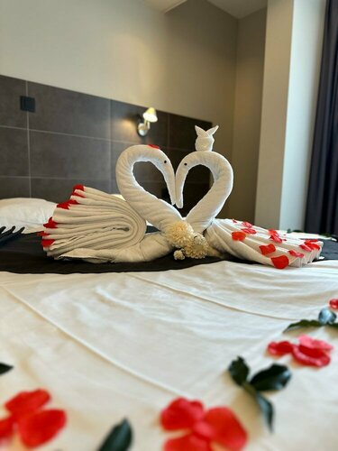 Hotel Vé, Prenota Hotel Hotel business a Flanders, 4* 5*