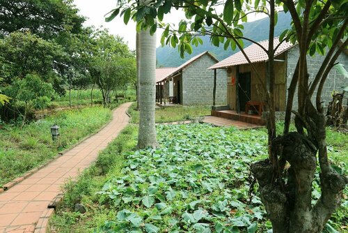 Long Phuong Homestay, 预订 酒店 吉婆岛 Cat Ba National Park