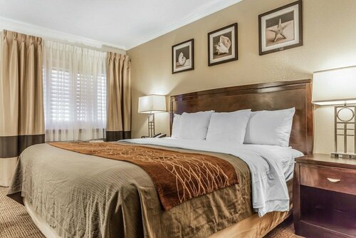 Comfort Inn Santa Cruz North, Забронировать Отель Отели Santa Cruz and Vicinity с завтраком, Завтраки
