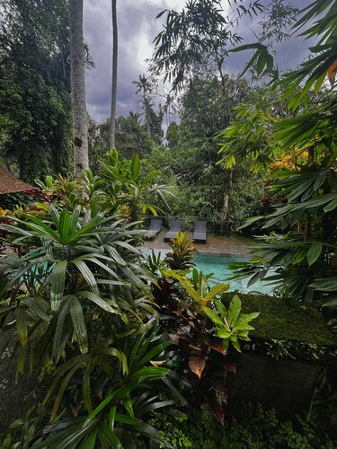 The Bali Shanti, Rezerwuj Hotel Hotele w Gianyar z basenem, Basen