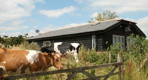Bull Farm Studios, Book Landbrugsophold Winchester Hampshire