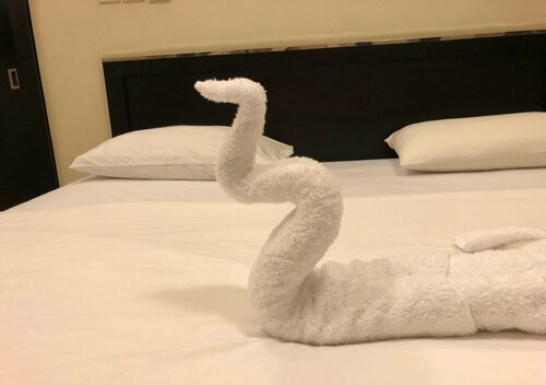 Multaqa, Prenota Hotel Sohar Al Batinah