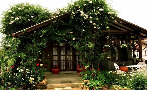 Heidi's Home