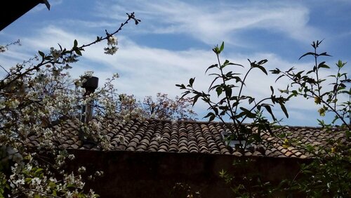 Il Vaso di Creta, Prenota Bed & breakfast Hotel a Sicilia con colazione, Colazione