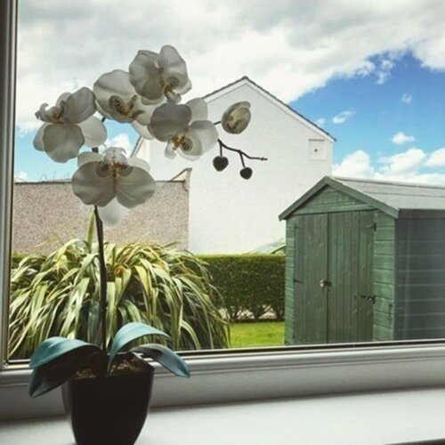 Allanvale Holiday Home - Inverness - Dog Friendly, Забронировать Отель Отели Северо-Шотландского нагорья 3 звезды, 3*